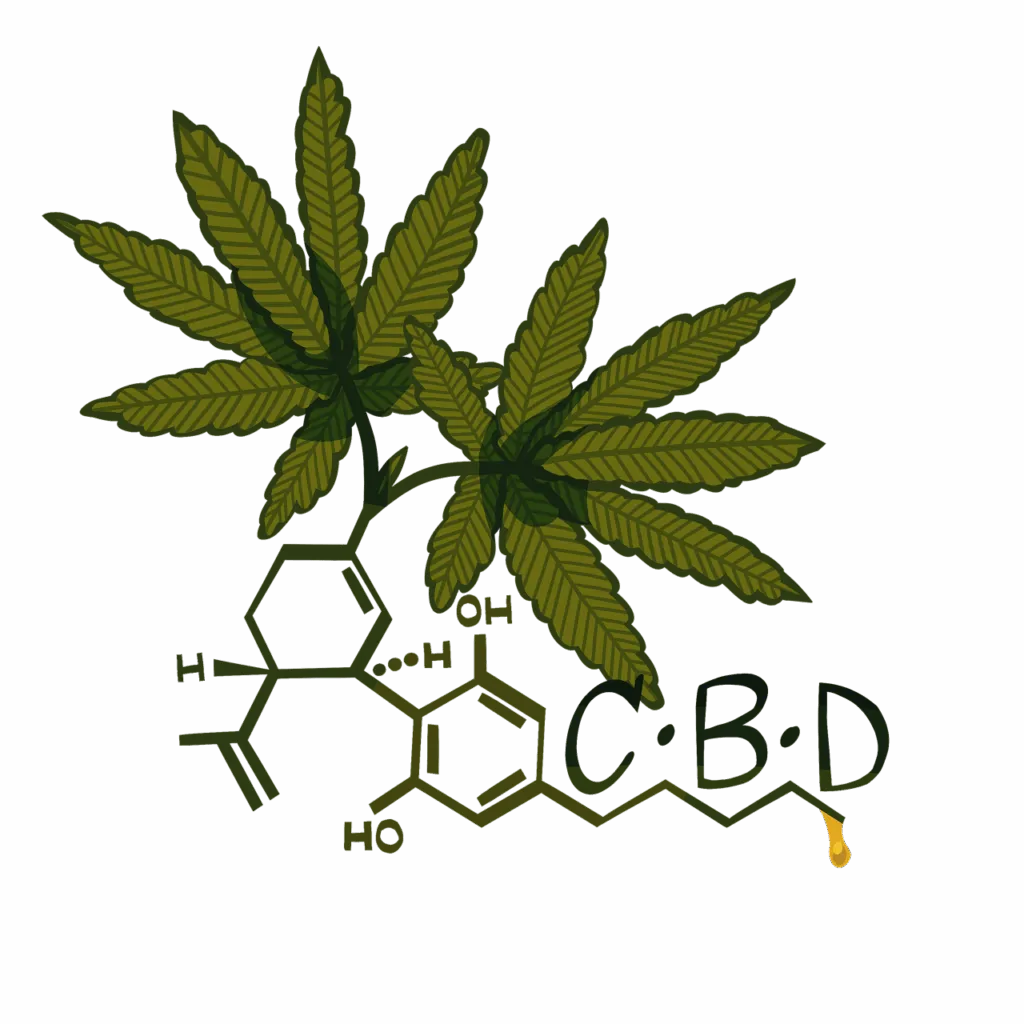 Laptop mit Google-Suchergebnissen und grünem Pflanzenmotiv – Symbolbild für Cannabis-SEO und digitale Sichtbarkeit